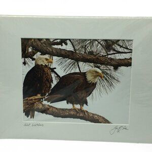 Signed Bald Eagle Photo Print “Nest Watchers” Geoff Wilde Mat 11x14 Wildlife Art